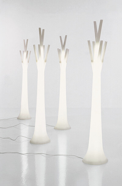 Tree Coat Stand and Tree Light by Bonaldo, view 4