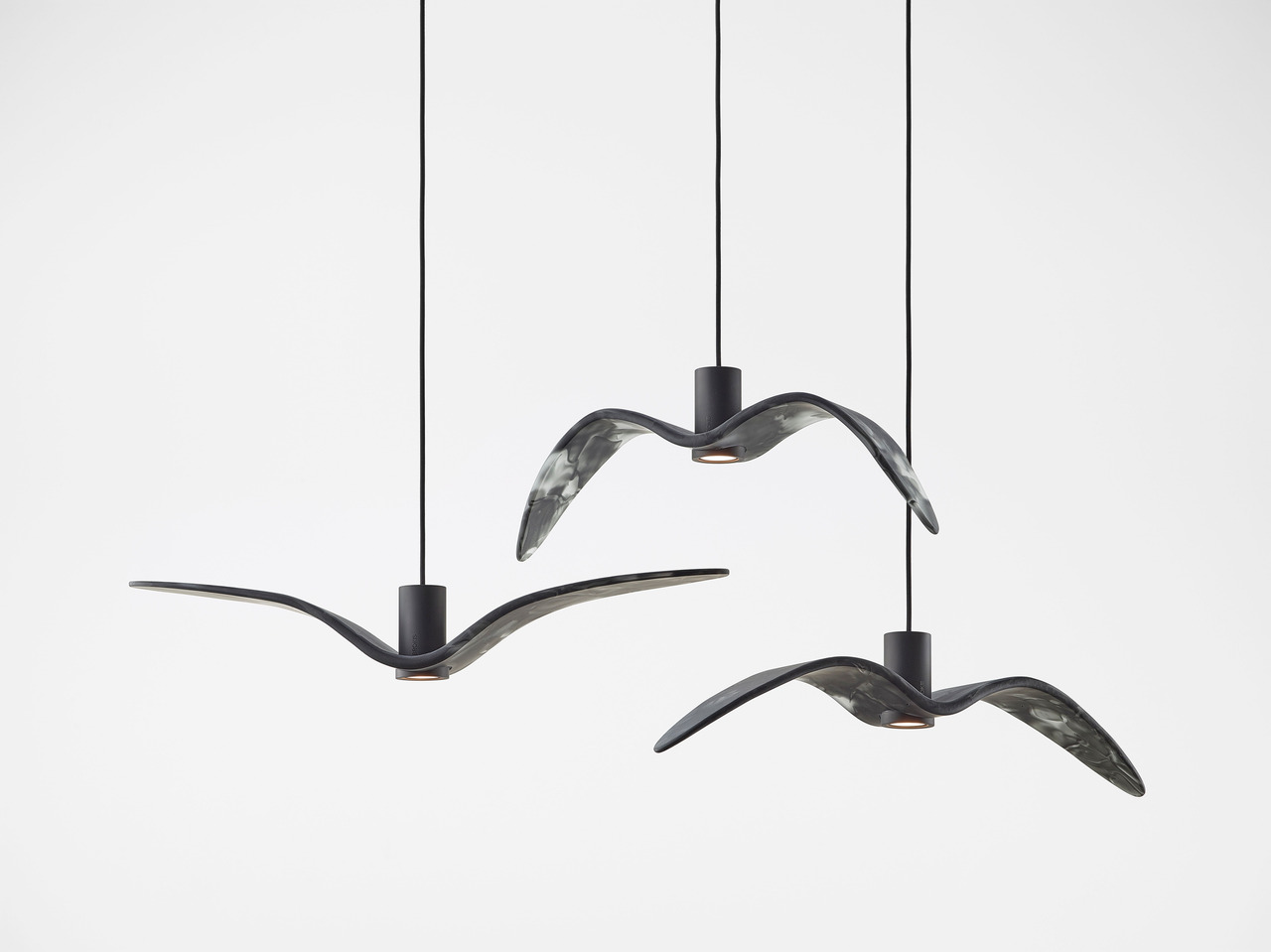 Night Birds Exterior, view 20