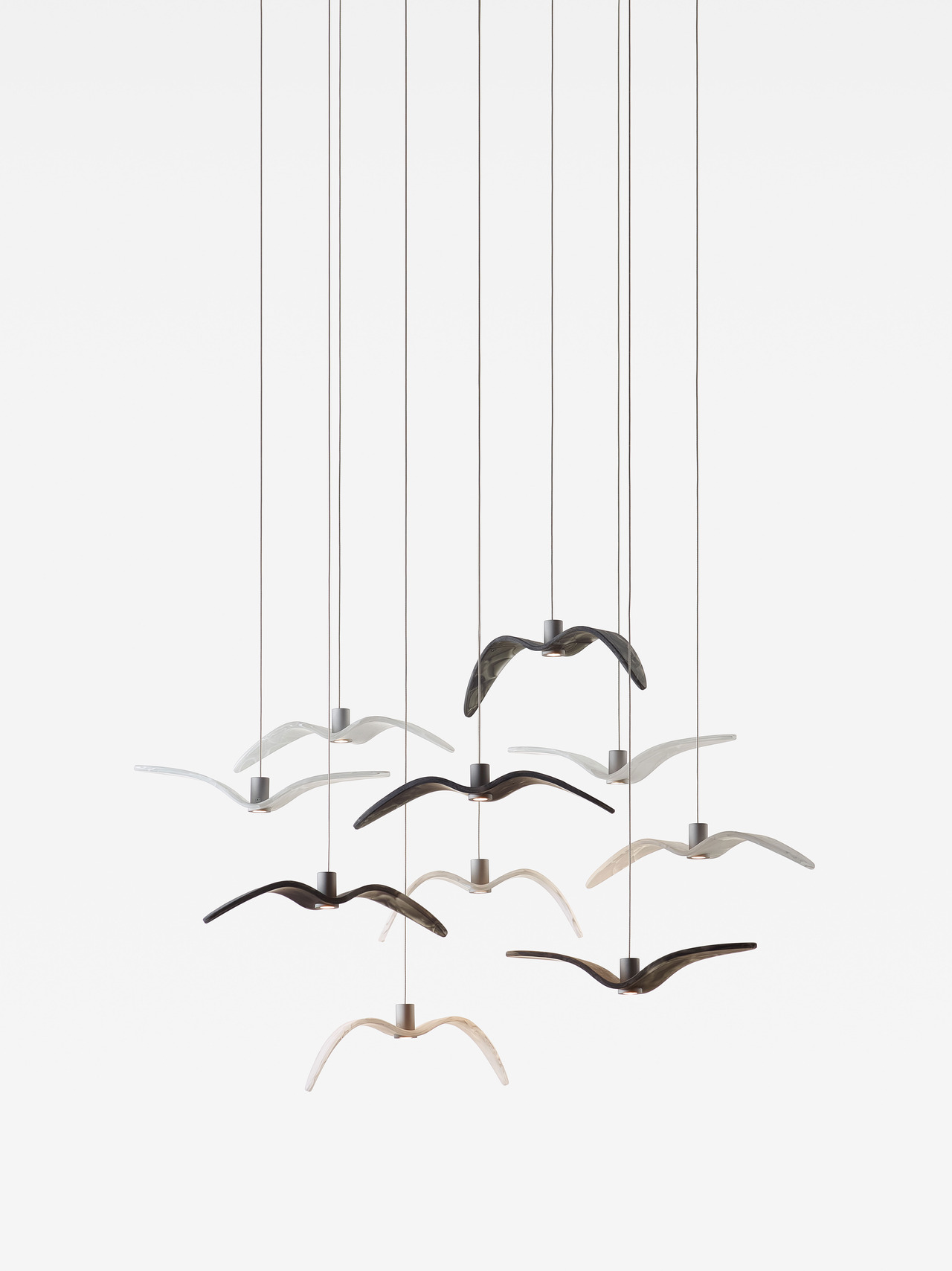 Night Birds MINI, view 3