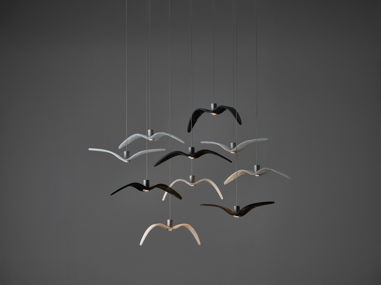 Night Birds MINI, view 8
