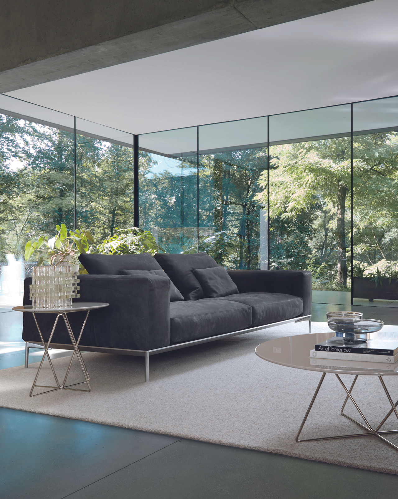 Savoye Desiree, view 5