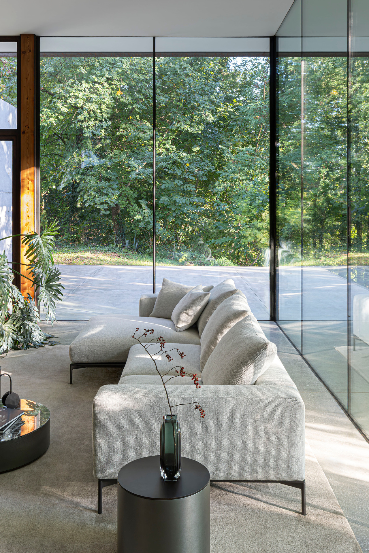 Savoye Desiree, view 6