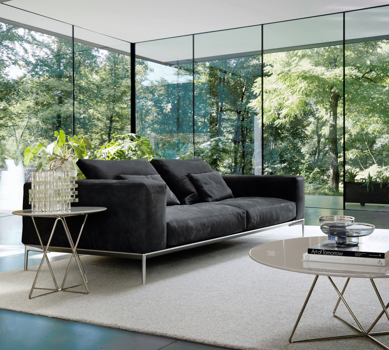 Savoye Desiree, view 27