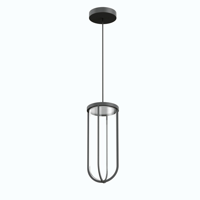 In Vitro Suspension Flos