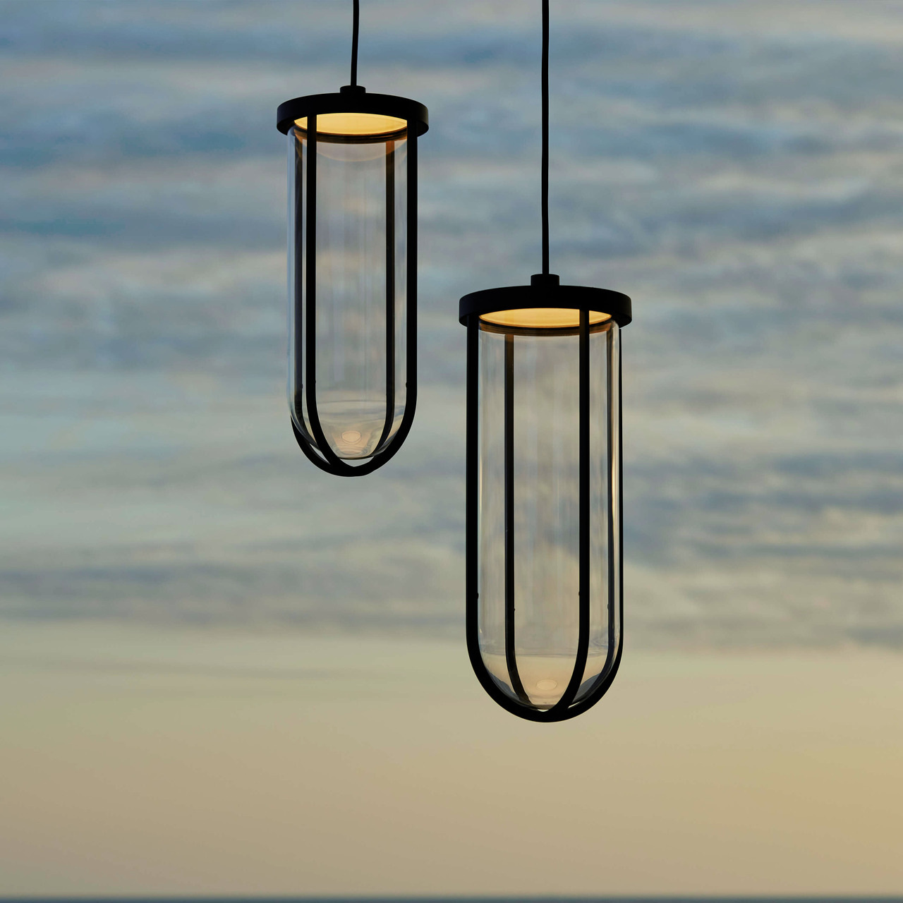 In Vitro Suspension Flos