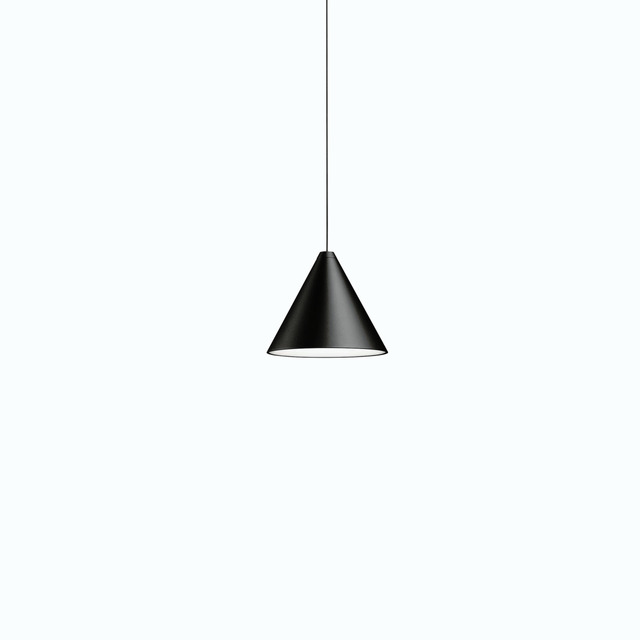 String Light Cone Flos