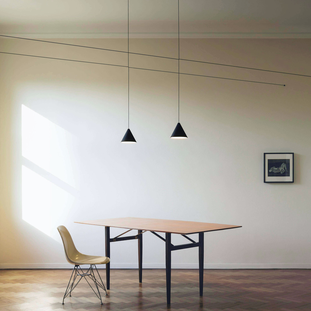 String Light Cone Flos
