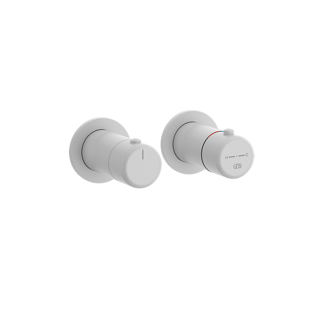 MATTE WHITE