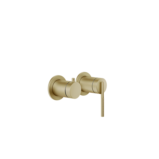 BRASS BRUSHED PVD
