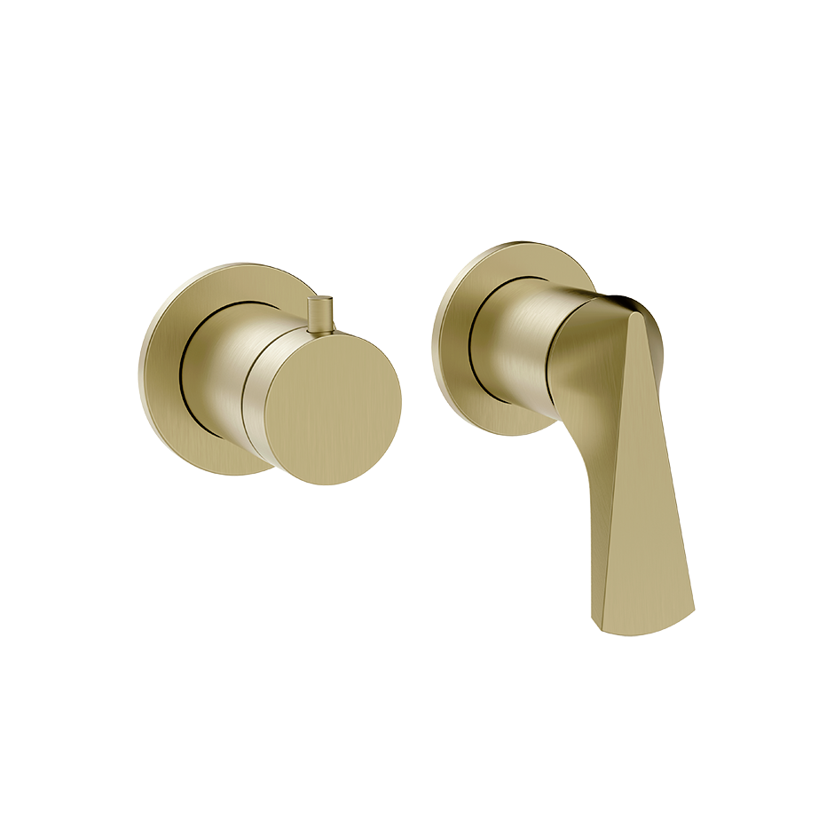 BRASS BRUSHED PVD