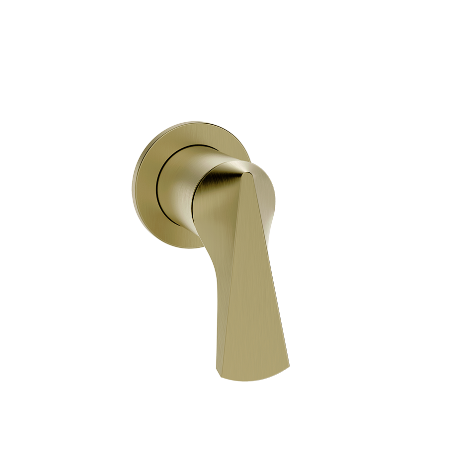 BRASS BRUSHED PVD