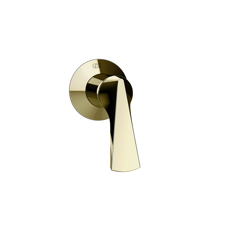 BRASS PVD