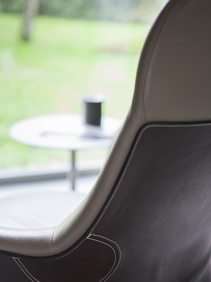 Assaya Armchair by Poltrona Frau, view 4