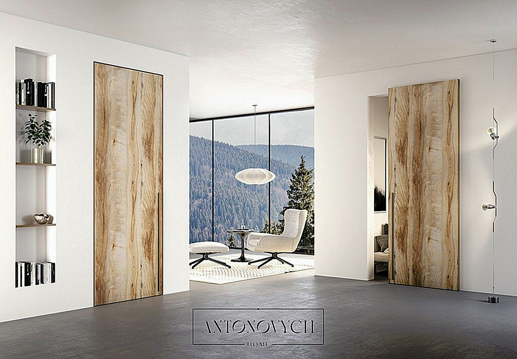 Barausse Secret Concealed Doors, view 5