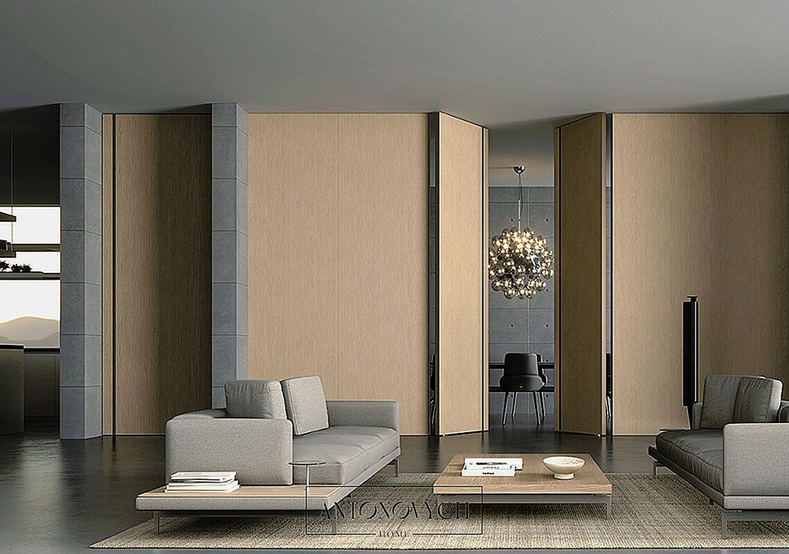 Barausse Secret Concealed Doors